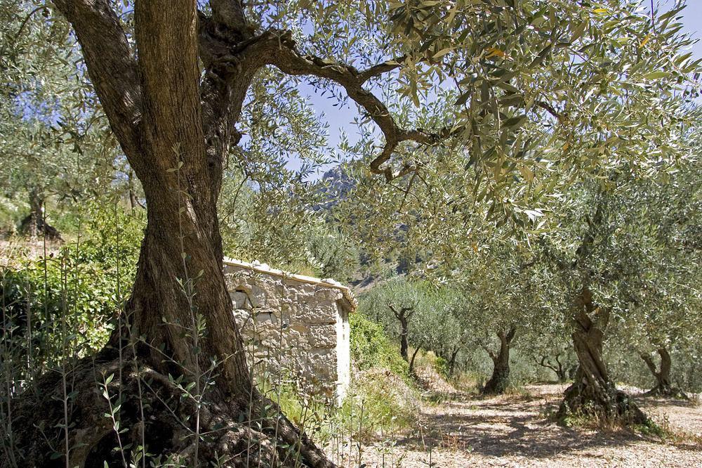 Le Cloitre Des Dominicains 2* Buis-les-Baronnies